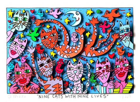 Nine cats with nine lives