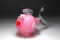Galerie Eclat d'Art Petit poisson rose cœurs